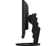Eizo FlexScan EV2490-BK - 1166516 - zdjęcie 8